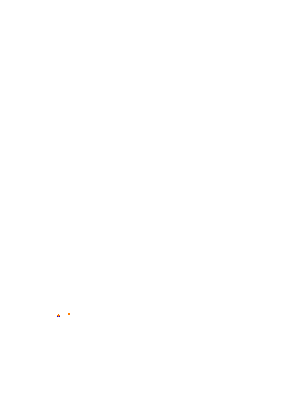 Nemuno Ziedas Fast Lap collisions