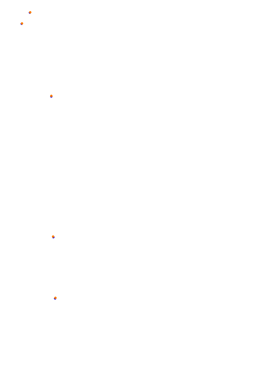 Nemuno Ziedas Fast Lap collisions