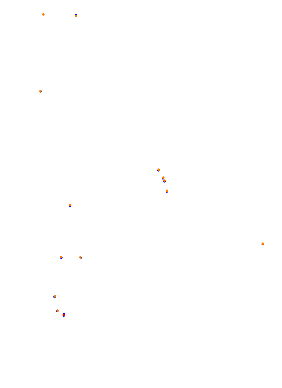 Nemuno Ziedas Fast Lap collisions
